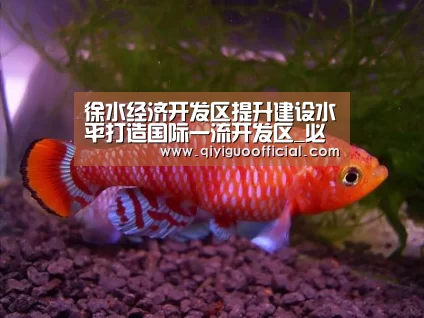 徐水经济开发区提升建设水平打造国际一流开发区_必赢体育(图1) 必赢官网