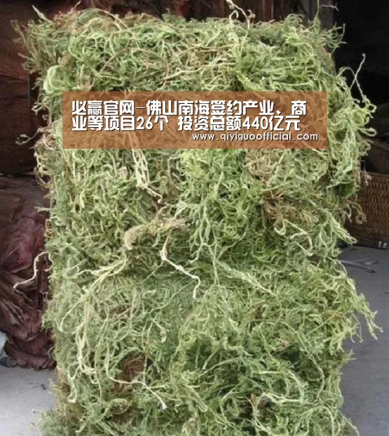 必赢官网-佛山南海签约产业、商业等项目26个 投资总额440亿元(图2) 必赢